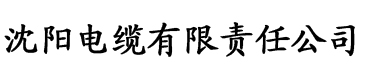 国产aⅴ在线高清无码线电缆厂logo